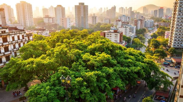 Découverte des paysages citadins et naturels du nord Vietnam
