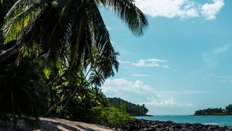 La Guyane française : Top activités et astuces pour un séjour mémorable